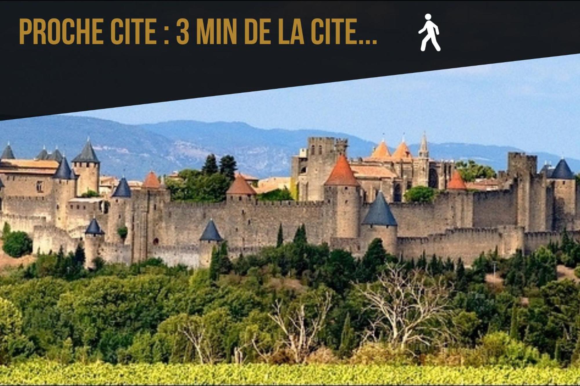 L'Or Vert, Castle View, Private Parking, Air Conditioner, Netflix, 160M From Medieval Town Carcassonne Dış mekan fotoğraf